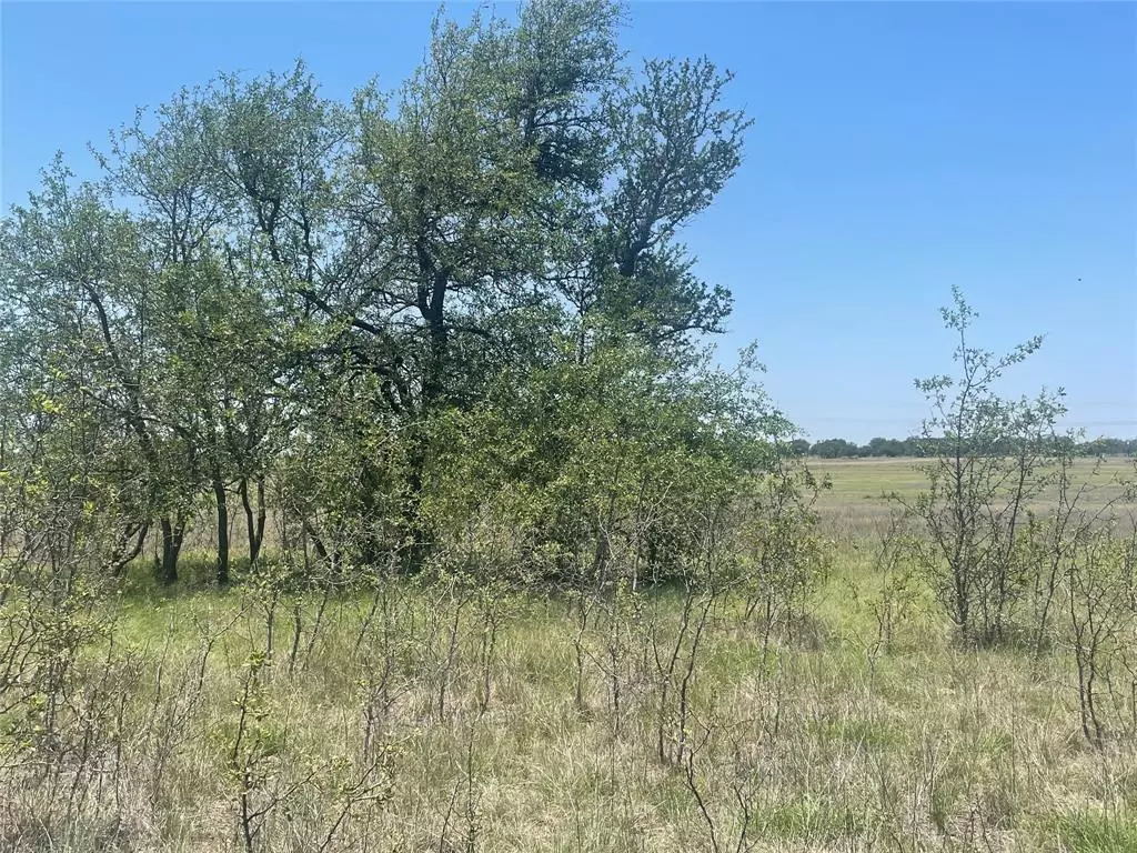 Goldthwaite, TX 76844,TBD CR 338