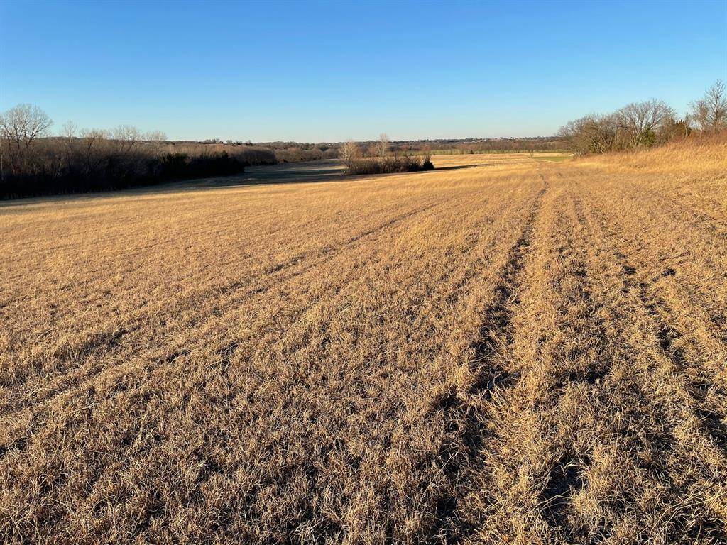 Sherman, TX 75090,61.96ac Mary Fitch Road