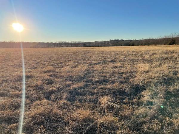 Sherman, TX 75090,61.96ac Mary Fitch Road