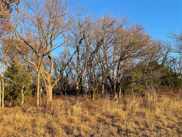 Sherman, TX 75090,61.96ac Mary Fitch Road