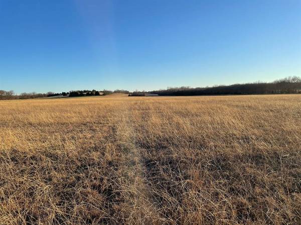 Sherman, TX 75090,61.96ac Mary Fitch Road