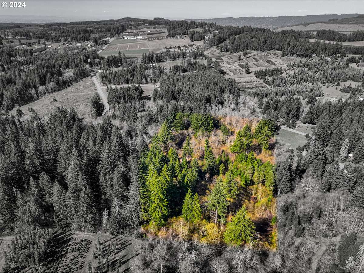 Silverton, OR 97381,19890 Sharon Tony WAY SE