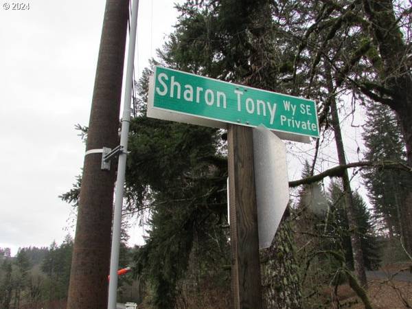 Silverton, OR 97381,19860 Sharon Tony WAY SE