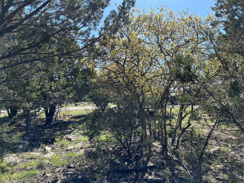 Graford, TX 76449,Lot 131 Turnberry Loop