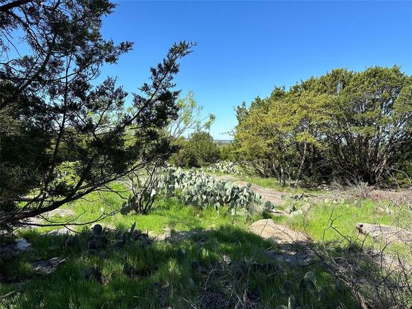 Graford, TX 76449,Lot 131 Turnberry Loop