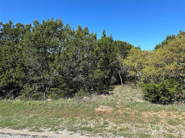 Graford, TX 76449,Lot 131 Turnberry Loop