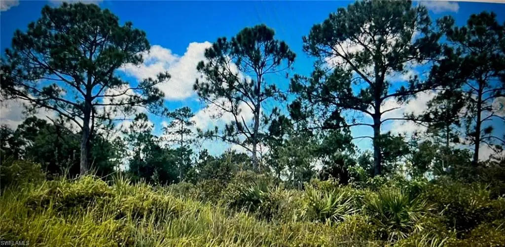 Lehigh Acres, FL 33936,807 Monroe DR