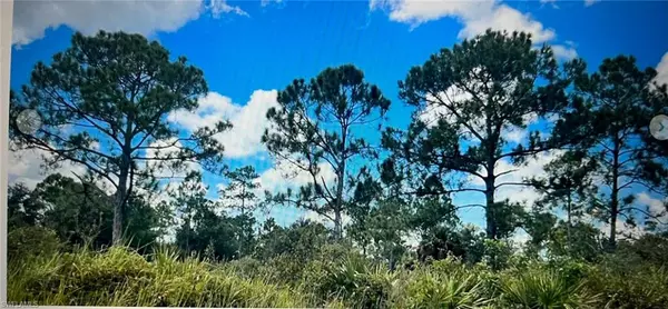 Lehigh Acres, FL 33936,807 Monroe DR