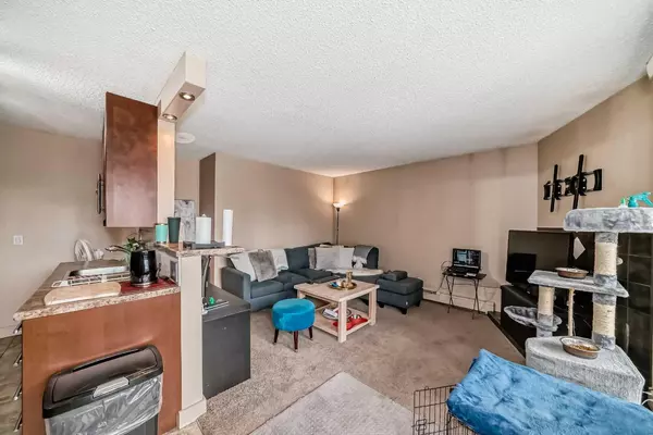 Calgary, AB T2E 0B3,409 1 AVE NE #203