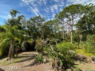 Estero, FL 33928,20753 Charing Cross CIR