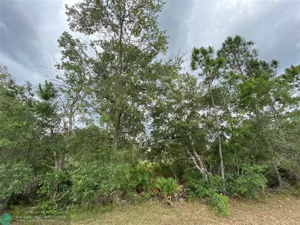 Other City - In The State Of Florida, FL 33855,Lot 23 Orchid Drive