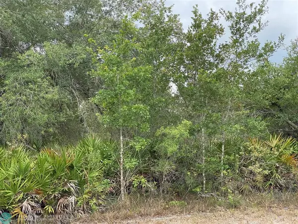 Other City - In The State Of Florida, FL 33855,Lot 23 Orchid Drive