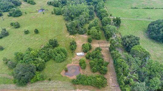 16157 CR 4336, Larue, TX 75770