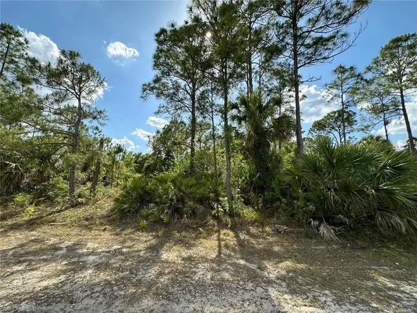 11TH ST SW, Other, FL 34117