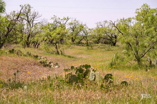 Talpa, TX 76882,3338 CR 374