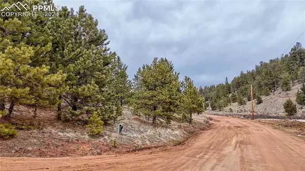 Cripple Creek, CO 80813,261 Yorktown RD