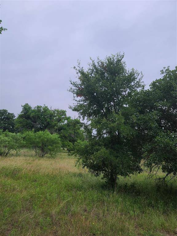 Brownwood, TX 76801,TBD Lot 325 Ships Wheel