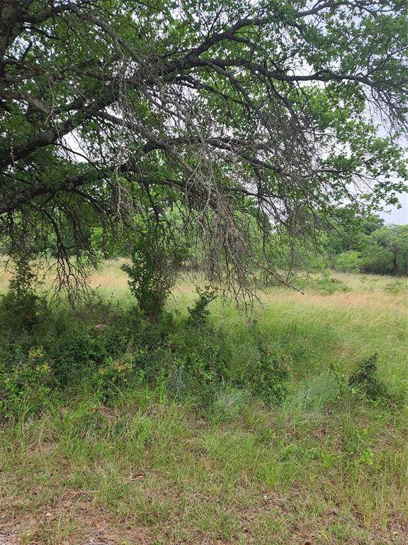 Brownwood, TX 76801,TBD Lot 325 Ships Wheel