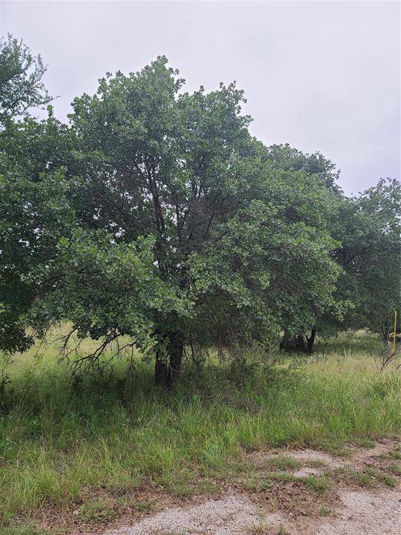 Brownwood, TX 76801,TBD Lot 325 Ships Wheel