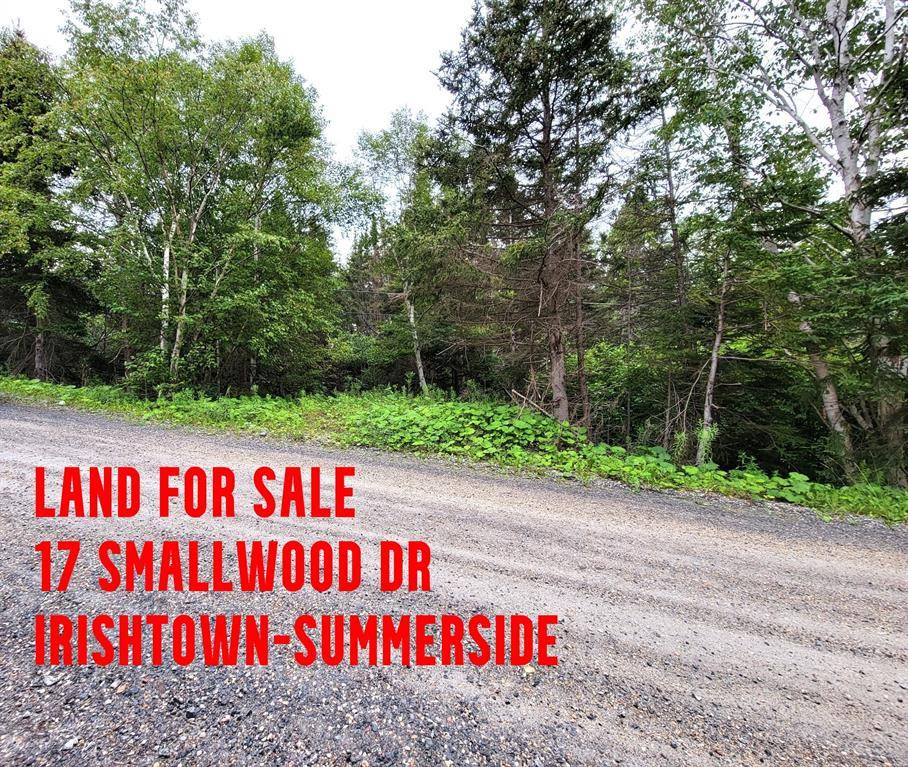 17 Smallwood Drive, Irishtown-summerside, NL A2H 4A1