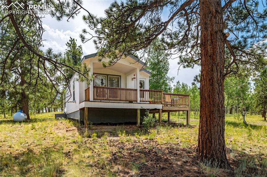 9674 Ranch RD, Hartsel, CO 80449