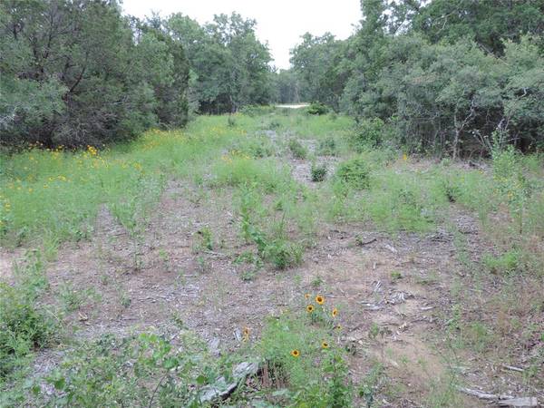 Perrin, TX 76487,Lot 57 Paradise Oaks Ranch