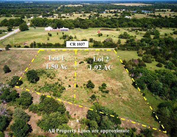 Celeste, TX 75423,LOT 1 CR 1037