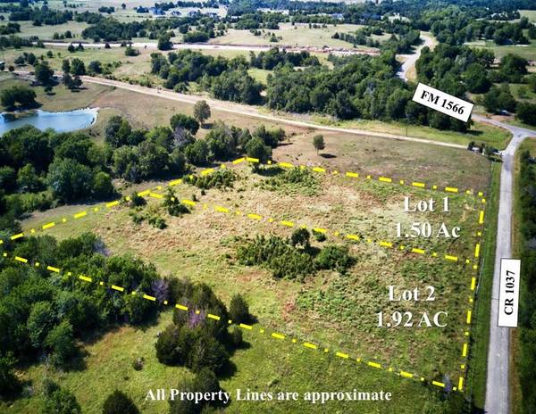 Celeste, TX 75423,LOT 1 CR 1037