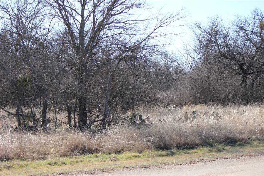 Lot 6 E Bay Drive, Bridgeport, TX 76426