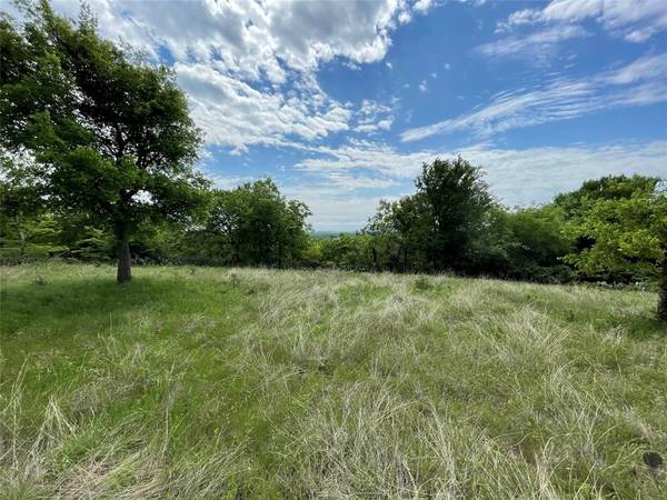 Bridgeport, TX 76426,Lot 14 E Bay Drive