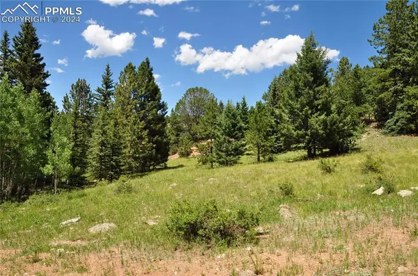 540 Anges DR, Cripple Creek, CO 80813