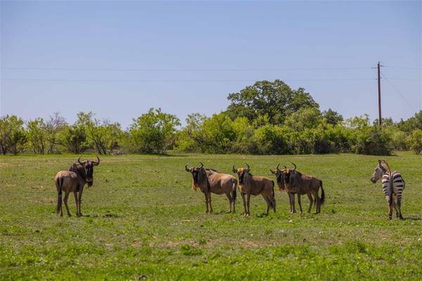 569 CR 177 CR 177, Sidney, TX 76474