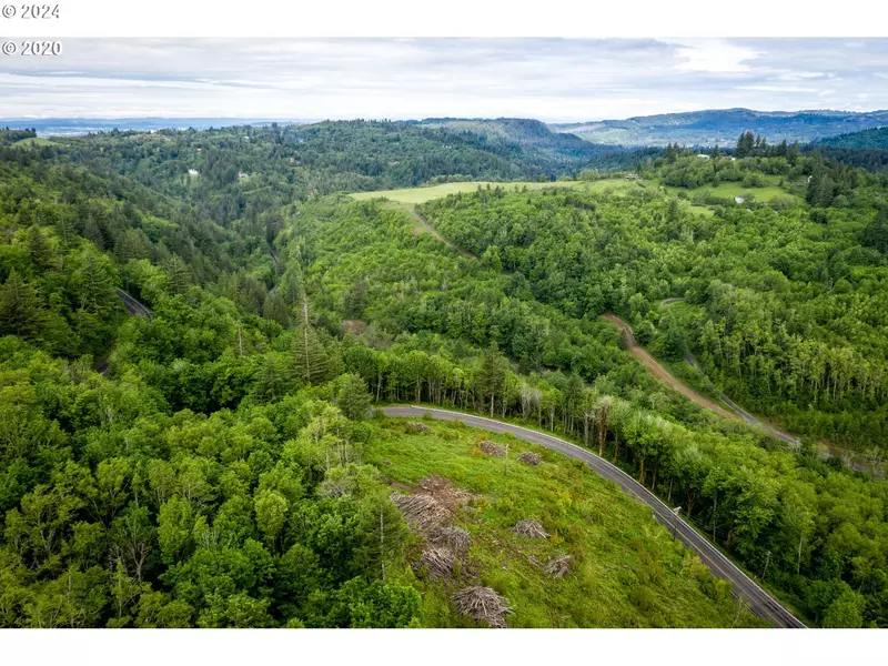 0 Mt Pleasant RD #tract 1, Washougal, WA 98671