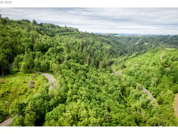 Washougal, WA 98671,0 Mt Pleasant RD #tract 1