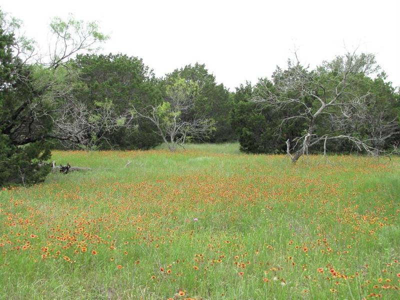 TBD-Lot 41 PR 42107, Evant, TX 76525