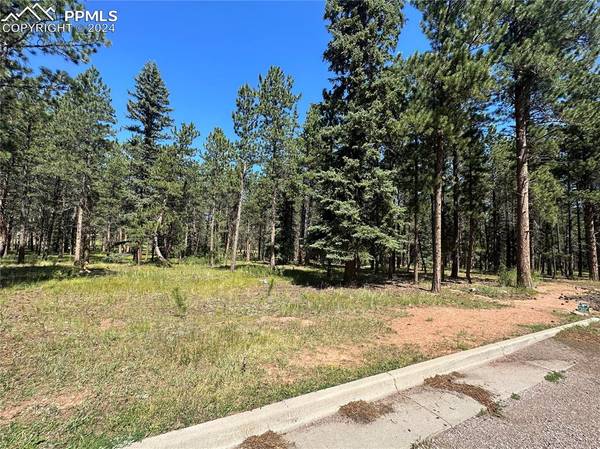 Woodland Park, CO 80863,Stone Ridge DR