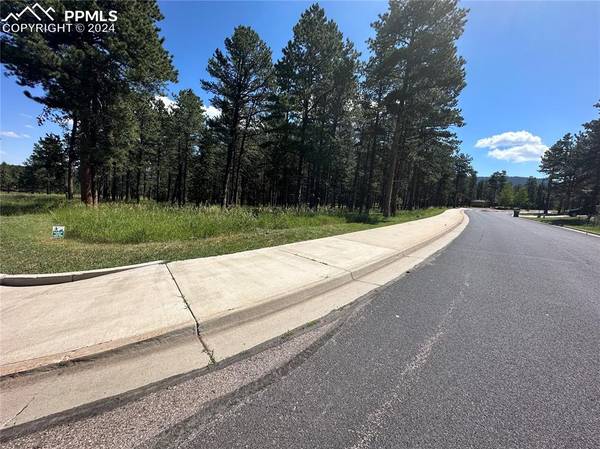 Woodland Park, CO 80863,Stone Ridge DR