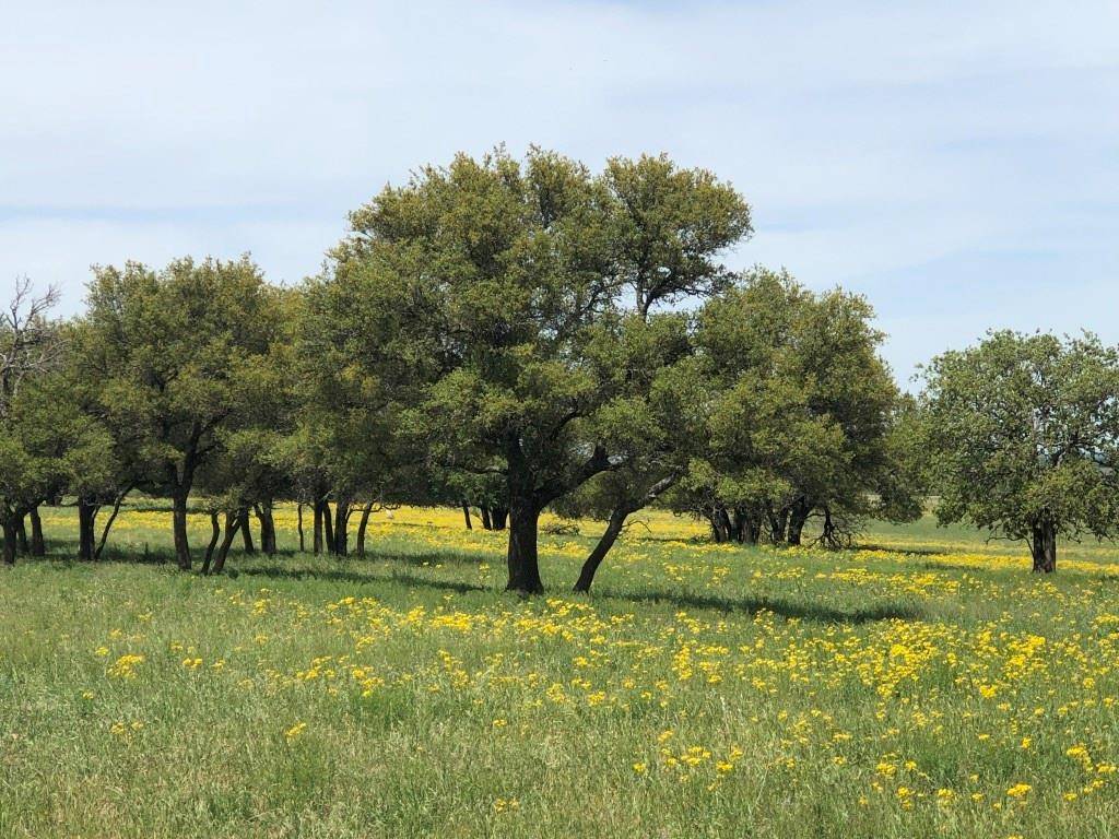 Rising Star, TX 76471,TBD Co Road 271