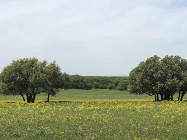 Rising Star, TX 76471,TBD Co Road 271