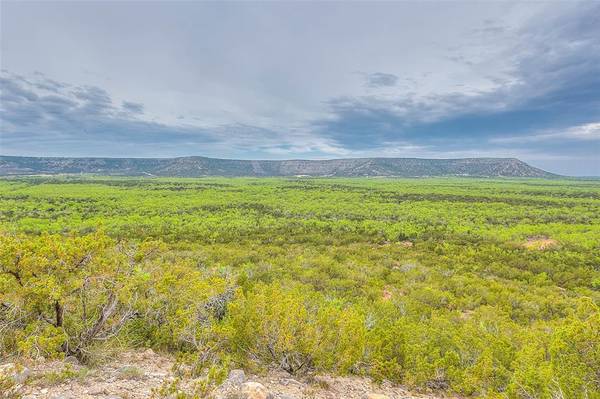 621 Green Mountain Rd, Robert Lee, TX 76945