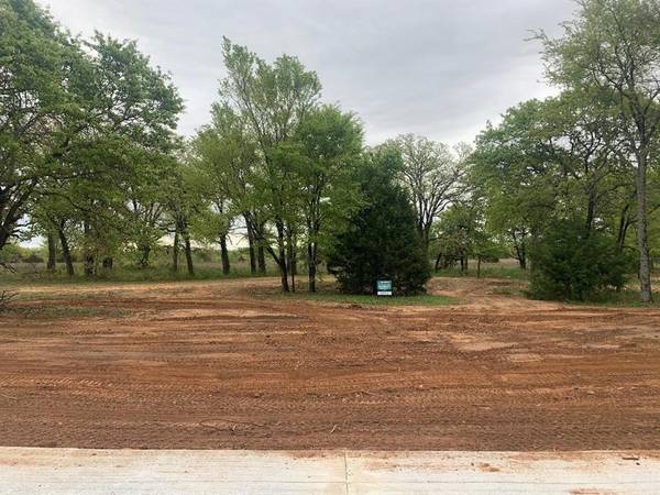 Lot 2 Knotted Oaks Court Road, Valley View, TX 76272