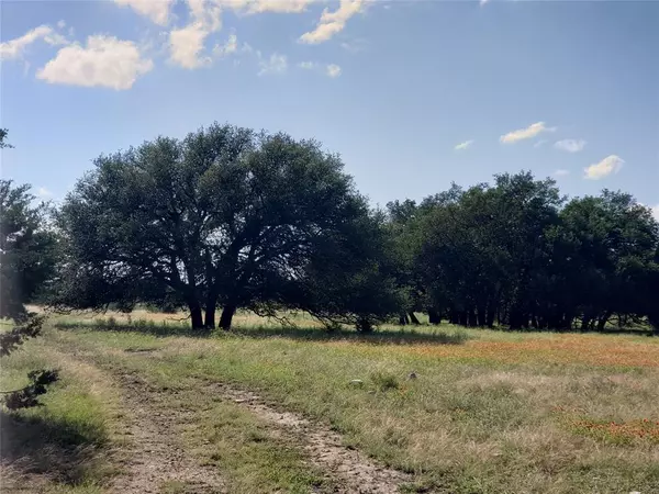 Lampasas, TX 76550,TBD CR 1255 Pitt Creek