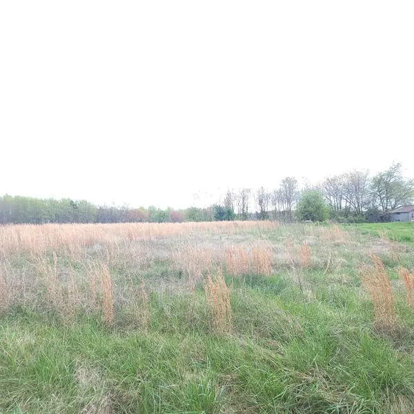 Nathalie, VA 24577,2175 Golden Leaf RD