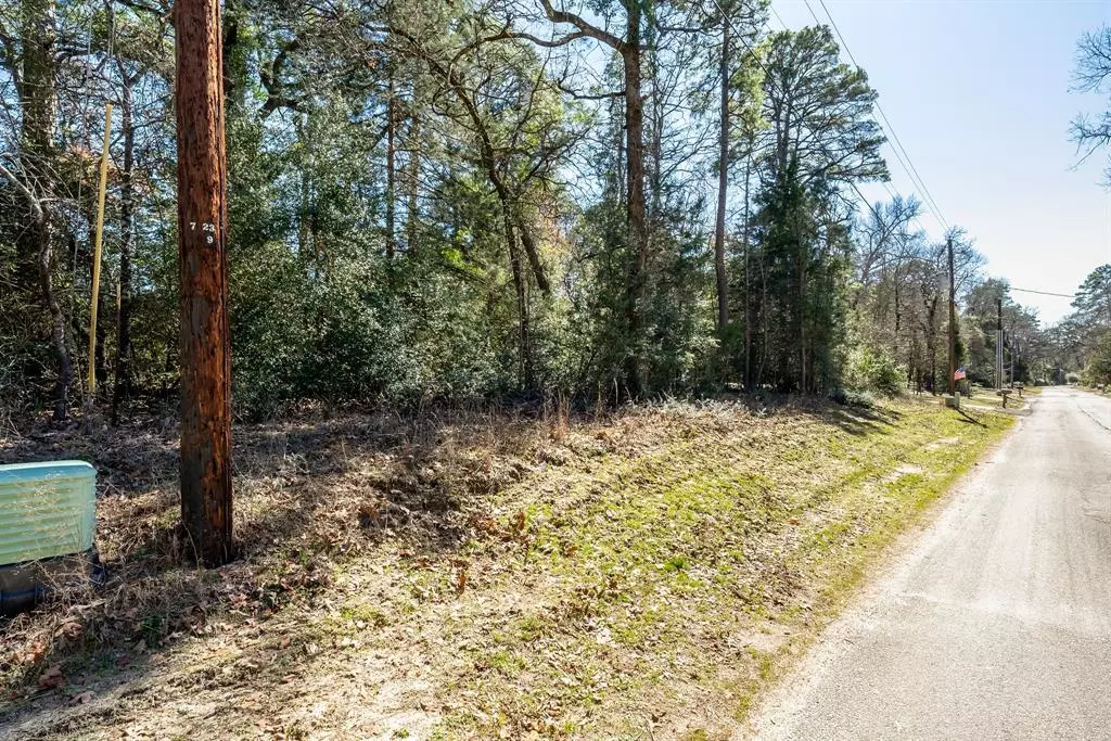 Holly Lake Ranch, TX 75765,Lot 112 Peaceful Valley Trail