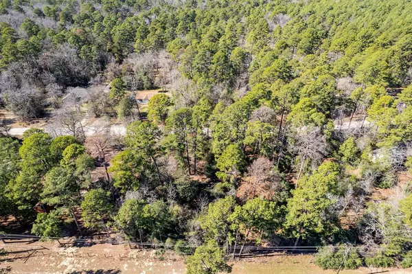 Holly Lake Ranch, TX 75765,Lot 112 Peaceful Valley Trail