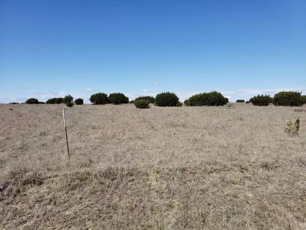 Lampasas, TX 76550,TBD TBD- CR 2337