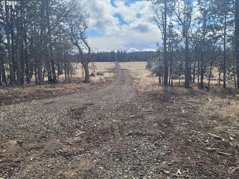 Tanzanite Rd, Goldendale, WA 98620