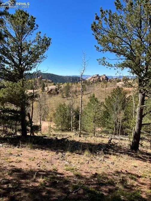 Cripple Creek, CO 80813,168 Wildhorse RD