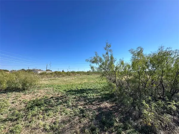 Anson, TX 79501,TBD Avenue J