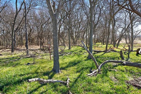 TBD Lot 10 County Road 102, Grandview, TX 76050